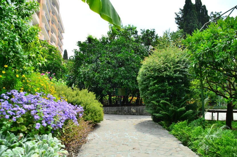 Jardín pequeño con un árbol de porte contenido