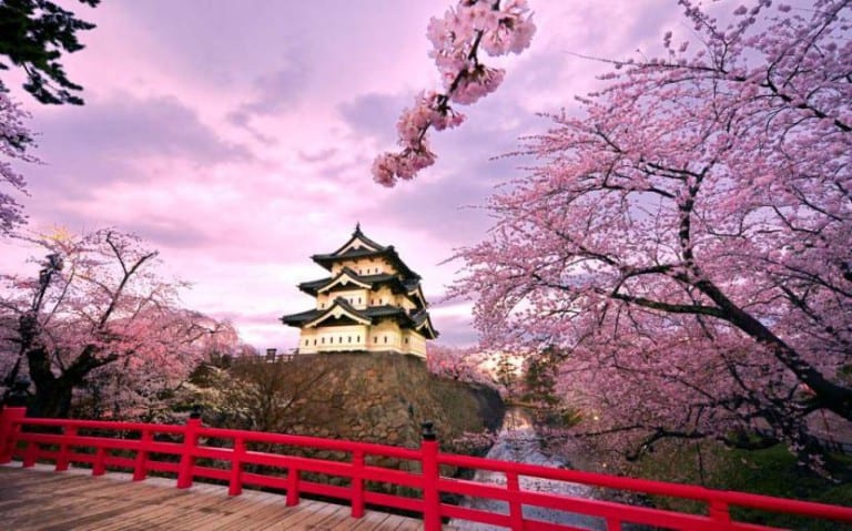 Paisaje japonés con cerezos en flor