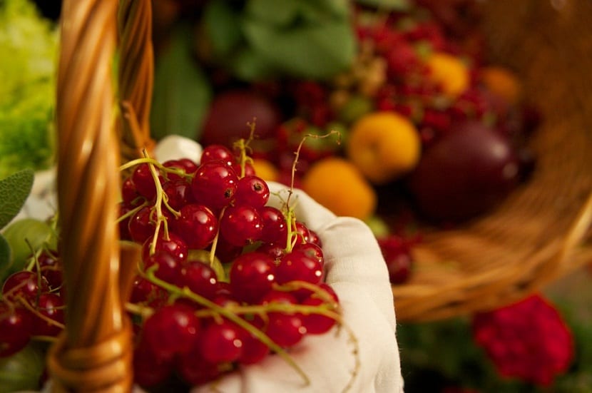 Grosella: tipos, propiedades y cultivo del Ribes en España