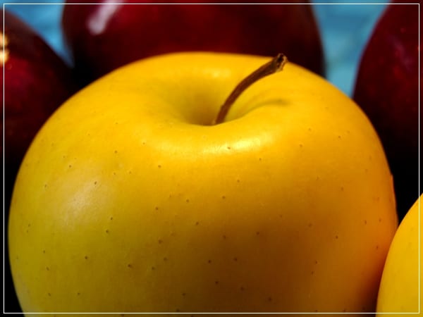 Manzanas recién recolectadas