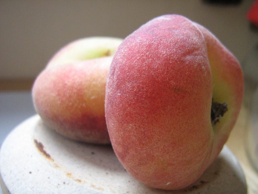 Paraguayo, la variedad de fruto aplanado del melocotonero