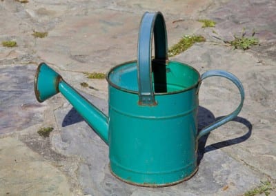 Regadera para el riego del bonsái