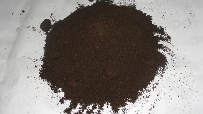 Humus de lombriz listo para usar como abono orgánico