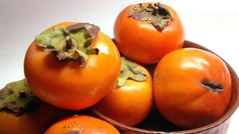 Caquis maduros de la variedad Rojo Brillante
