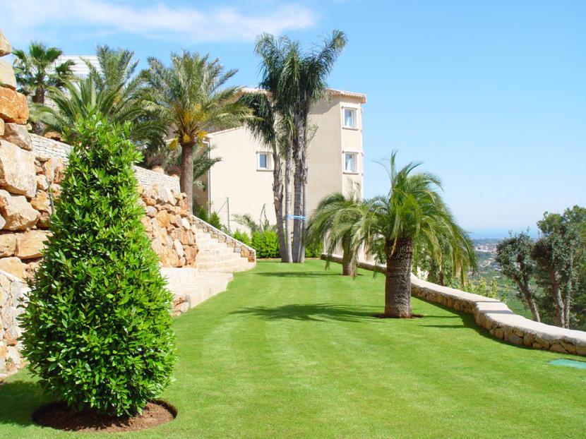 Zona de césped en un jardín