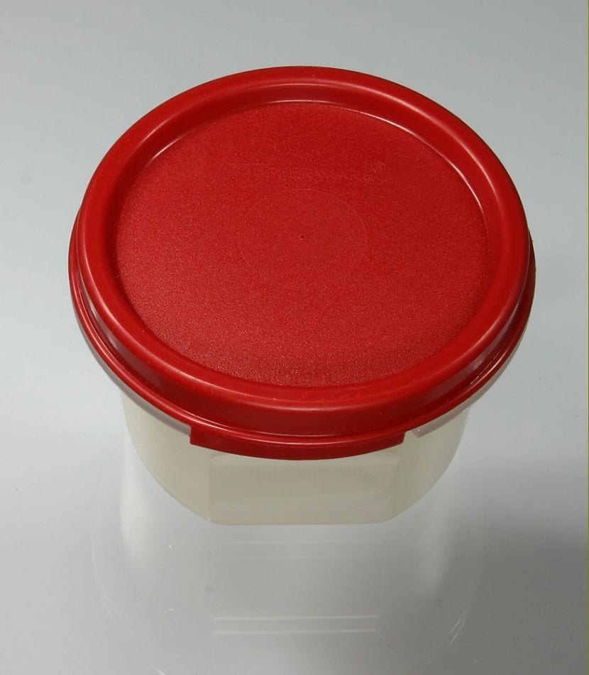 Tupper transparente utilizado como propagador para semillas