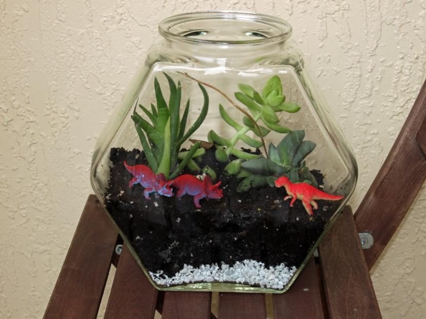 Pecera reconvertida en terrario con plantas de interior