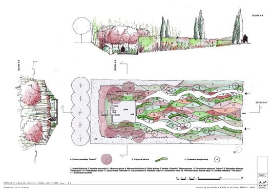 Paisajismo básico: cómo diseñar tu jardín paso a paso