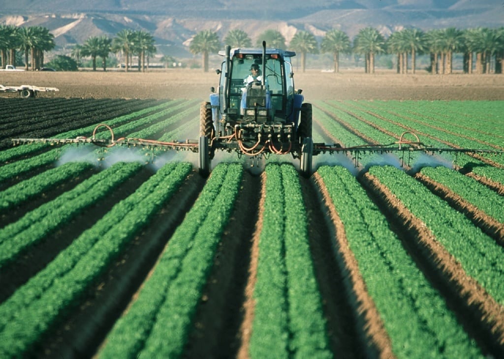 Clorpirifos: qué es, por qué se prohibió y qué hacer ahora