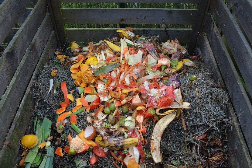 Compost casero en descomposición