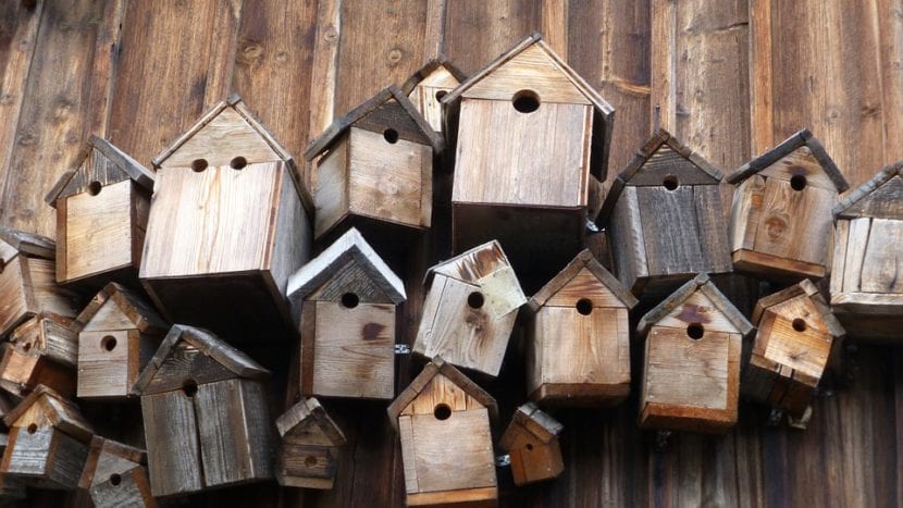 Cajas nido para aves colocadas en el jardín
