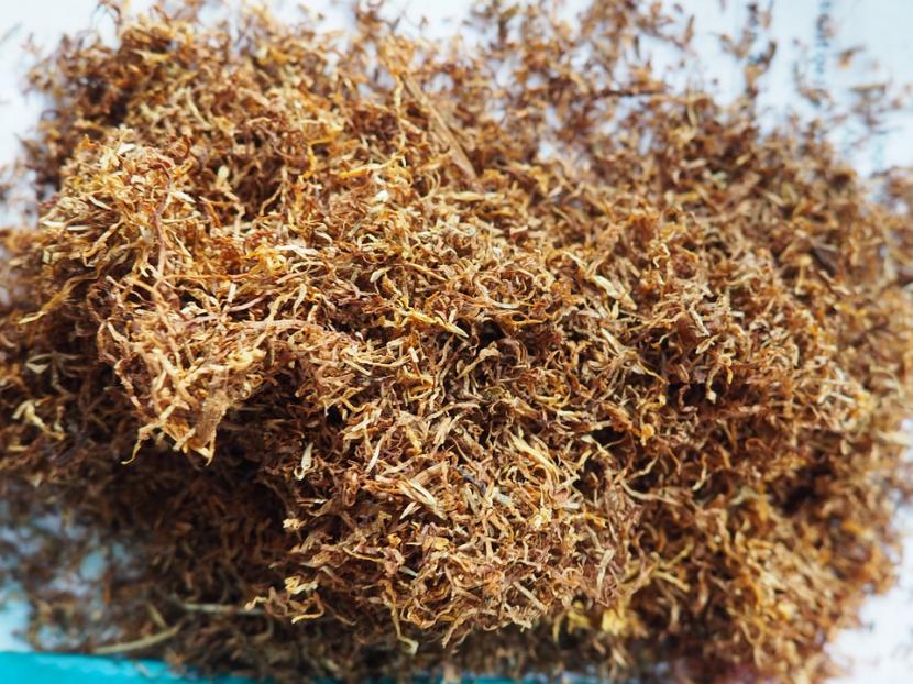 Insecticida de nicotina: cómo se hace y por qué no usarlo