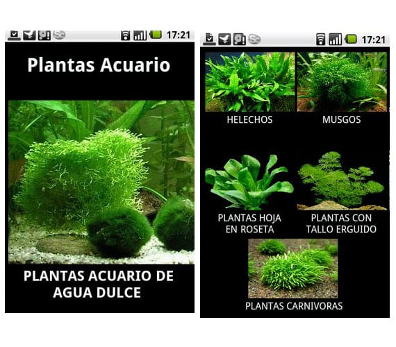 Pantalla de una aplicación de consulta de plantas de acuario