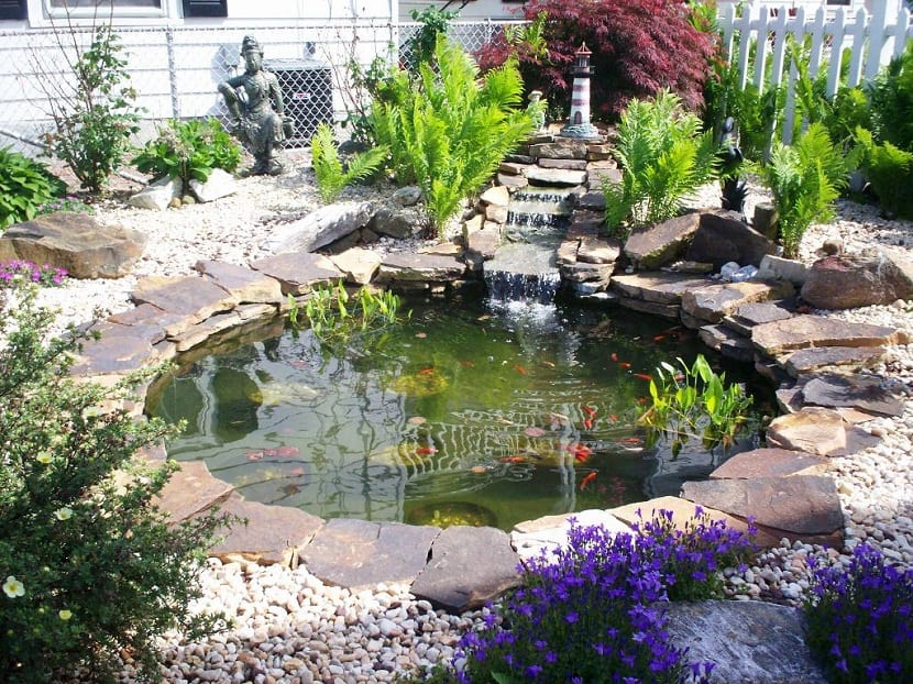 Cómo construir un estanque de jardín paso a paso