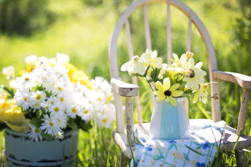 Seis flores para jardín o maceta y cómo acertar con cada una