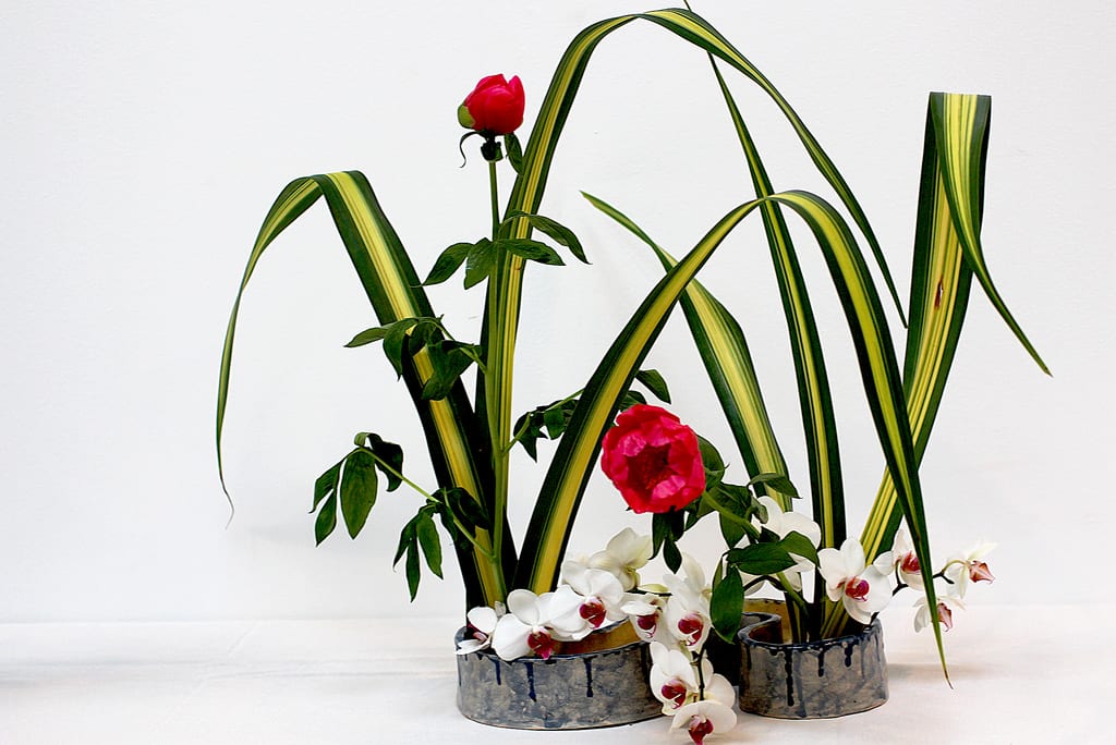 Ikebana compuesto con orquídeas