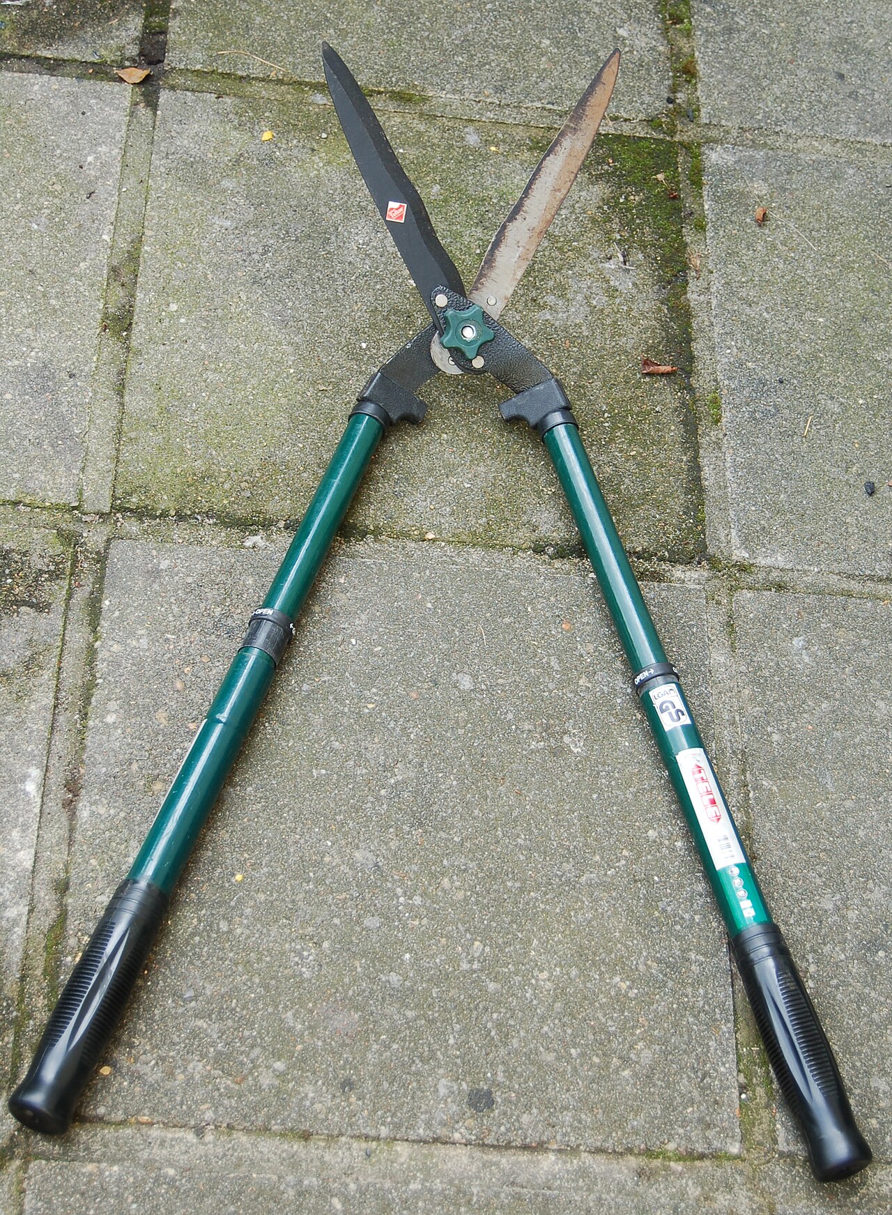 ¿Qué tijeras de podar eléctricas elegir para mi jardín?