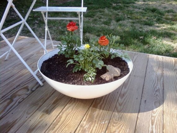 Cuenco de madera reconvertido en jardín de suculentas