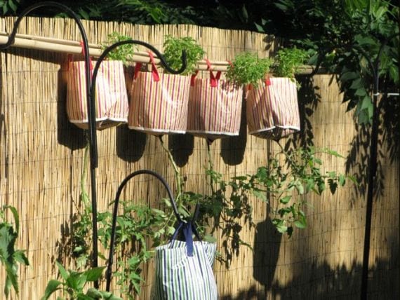 Bolsas de tela usadas como macetas para plantas