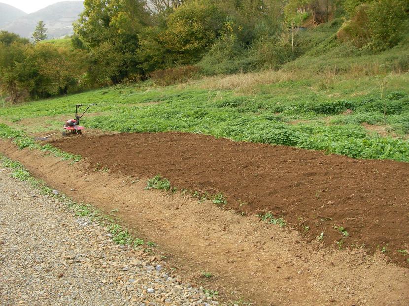 Terreno preparado y labrado antes de la siembra