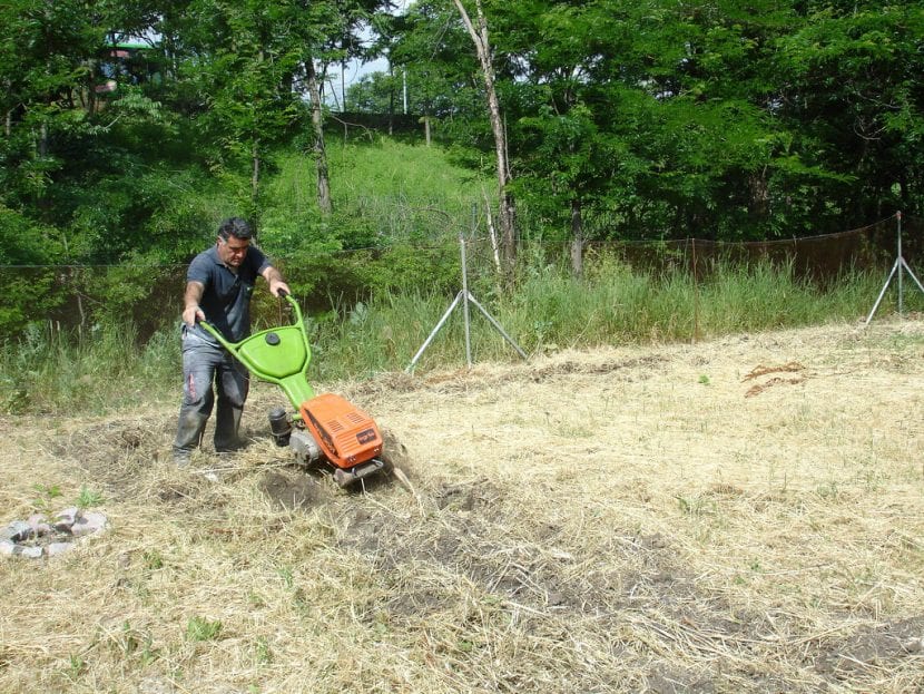 Motoazada trabajando la tierra de un huerto
