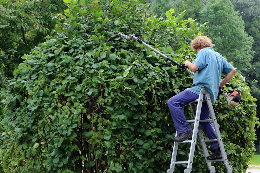 Jardinero trabajando con herramientas de mano