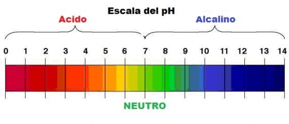 Escala del pH con los rangos ácido, neutro y alcalino