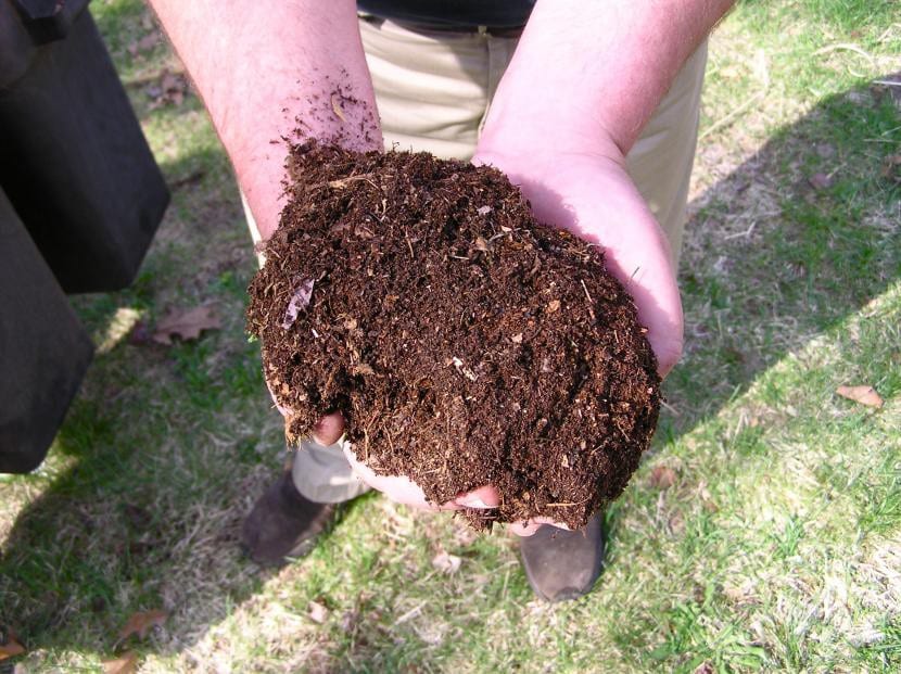 Compost maduro obtenido a partir de restos de poda triturados