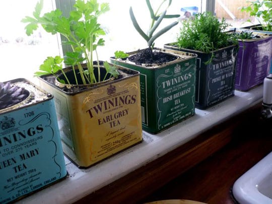 Recipientes de latón para plantas: uso, riego y limpieza