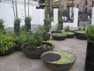 Neumático reutilizado como pequeño estanque de jardín