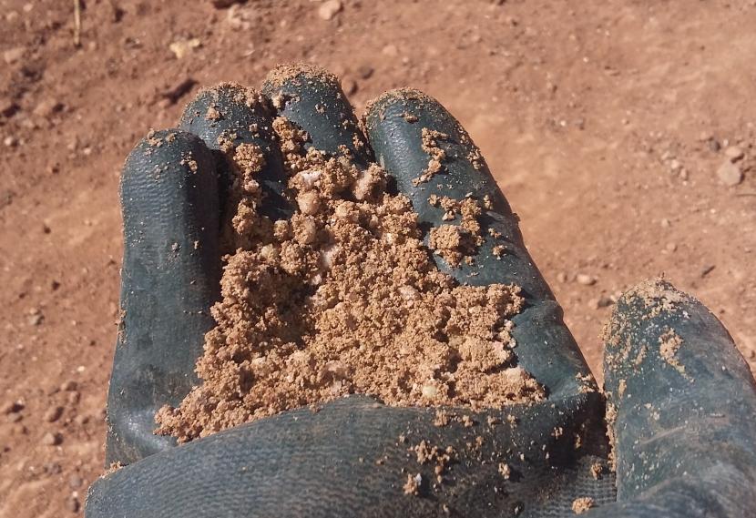 Mezcla de abono con la tierra del huerto antes de plantar