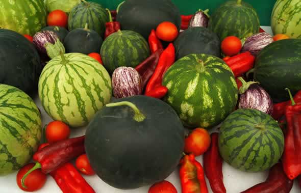 Abono para un huerto de hortalizas: qué pide cada cultivo