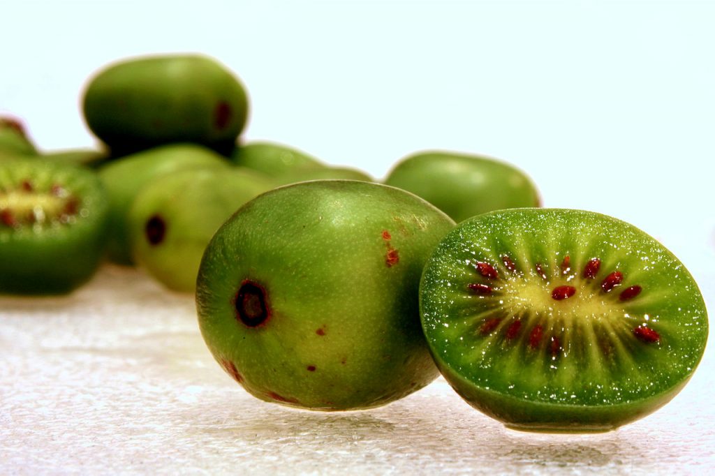 Actinidia arguta, el kiwi de fruto pequeño y piel lisa
