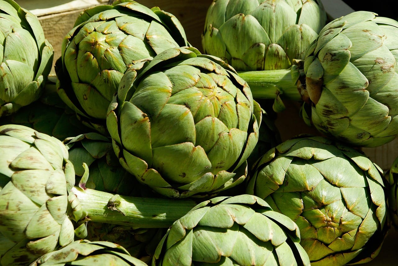 Alcachofa: cultivo, cuidados y recolección en el huerto