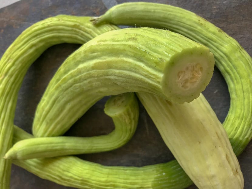 Alficoz (Cucumis melo flexuosus): cultivo y propiedades