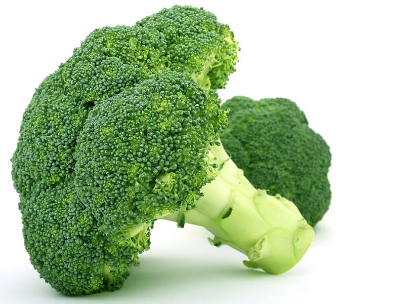 Brócoli: siembra, cultivo, cosecha y valor nutricional