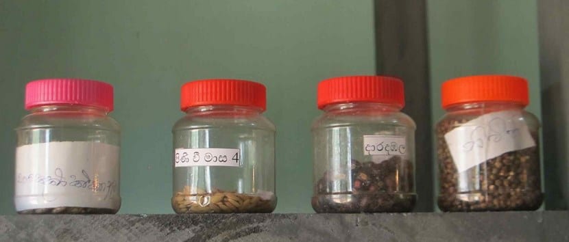 Cómo hacer un banco de semillas casero paso a paso