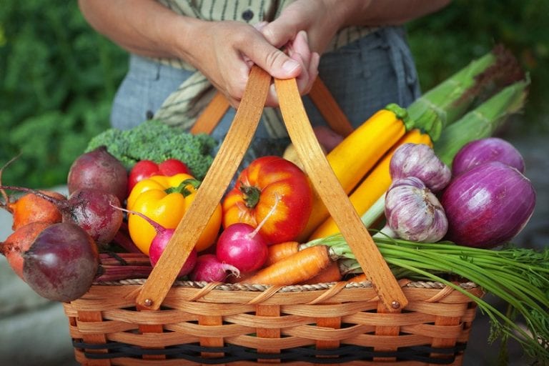 Variedad de vegetales frescos recién recolectados