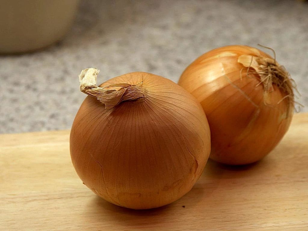 Cebolla Babosa: cultivo, calendario y conservación real