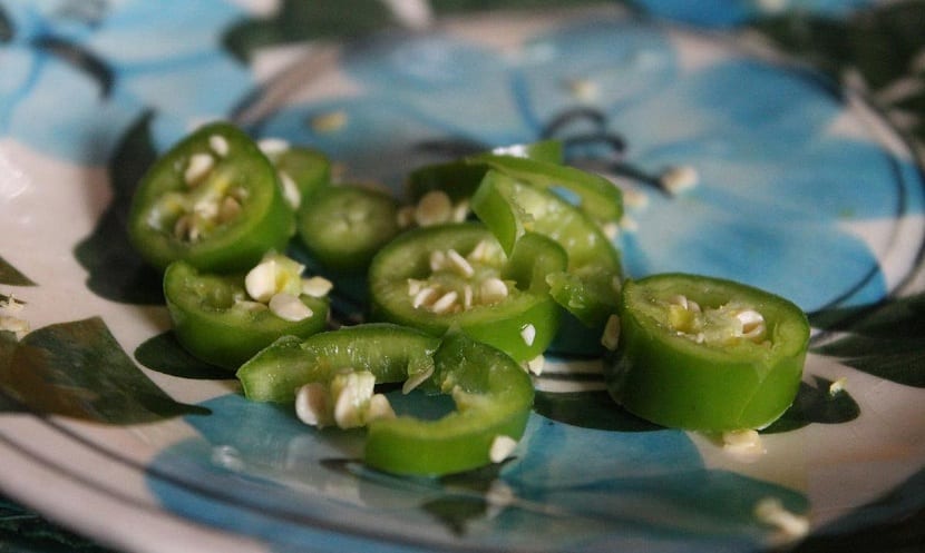 Chile cuaresmeño o jalapeño: cultivo, cuidados y cosecha