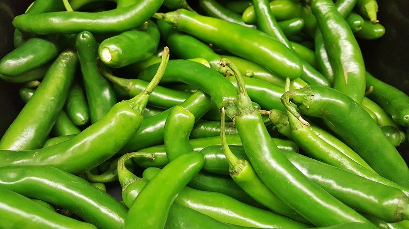 Chiles serranos verdes amontonados