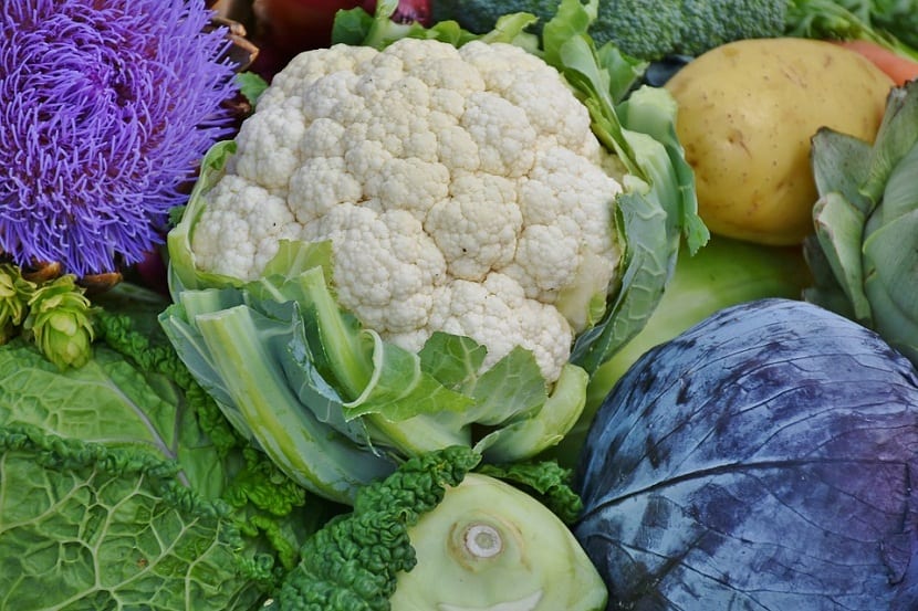 Coliflor: siembra, cuidados, plagas y cosecha en el huerto