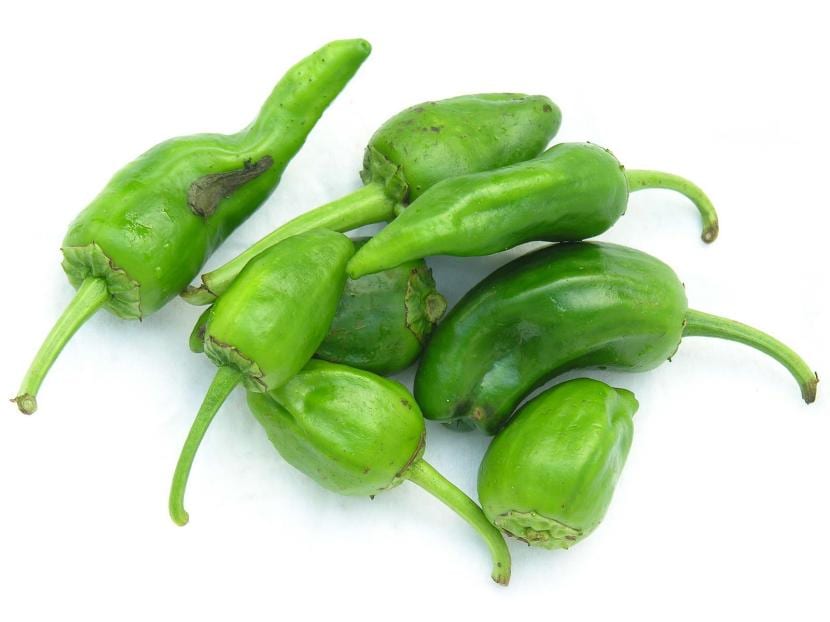 Cómo conservar pimientos verdes: nevera, congelado y bote