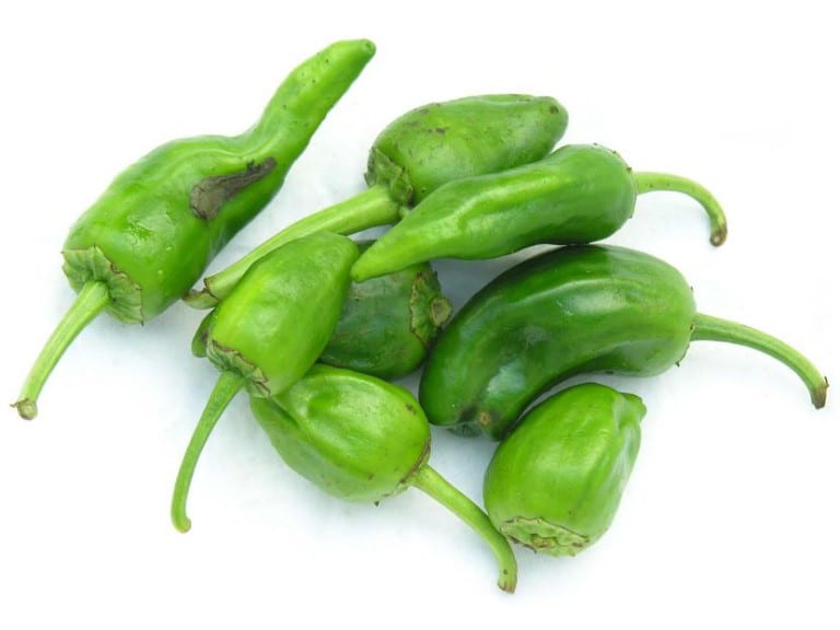 Pimientos verdes recién recolectados del huerto