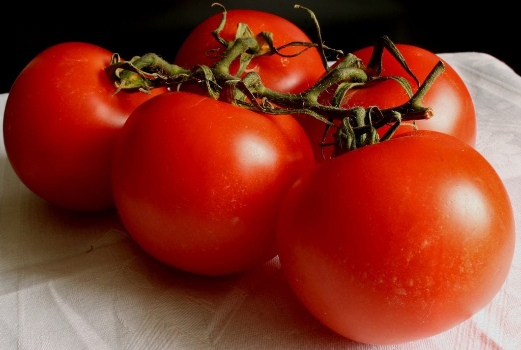 Cómo cultivar tomate: del semillero a la recolección