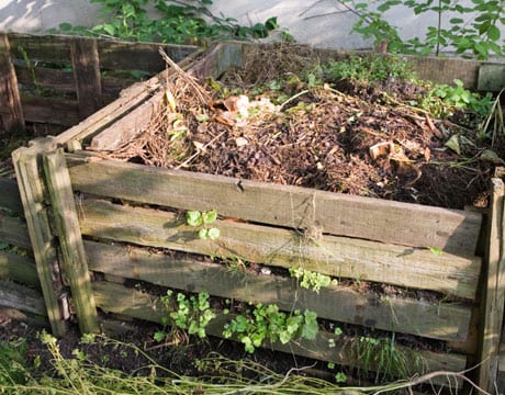 Huerto ecológico con cultivos asociados y acolchado