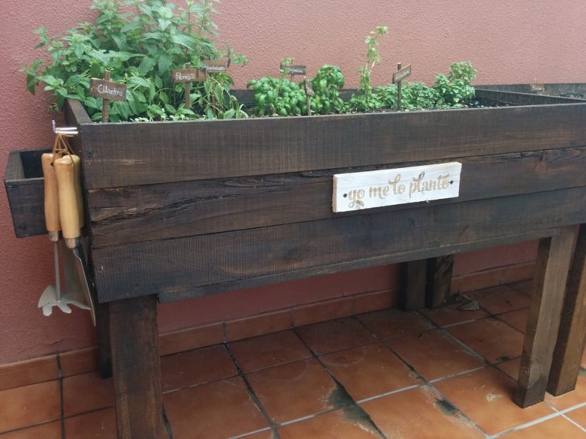 Huerto urbano y ecológico montado con palets
