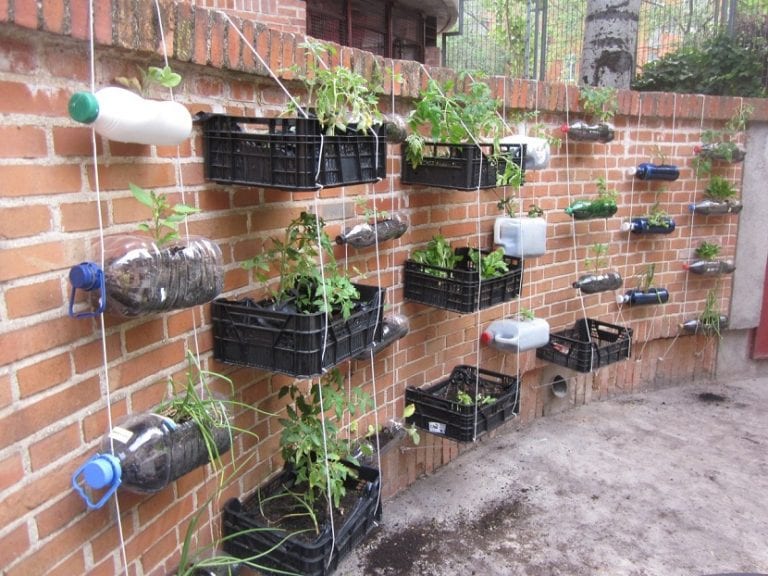Contenedores de cultivo en un huerto urbano casero
