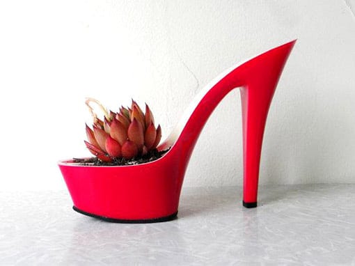 Macetas recicladas: qué objetos sirven para plantar