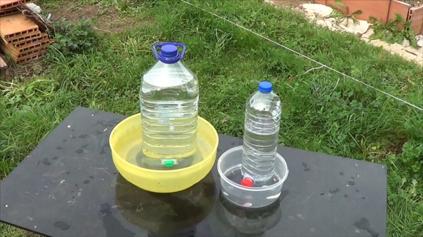 Inventos caseros para el huerto que sí funcionan